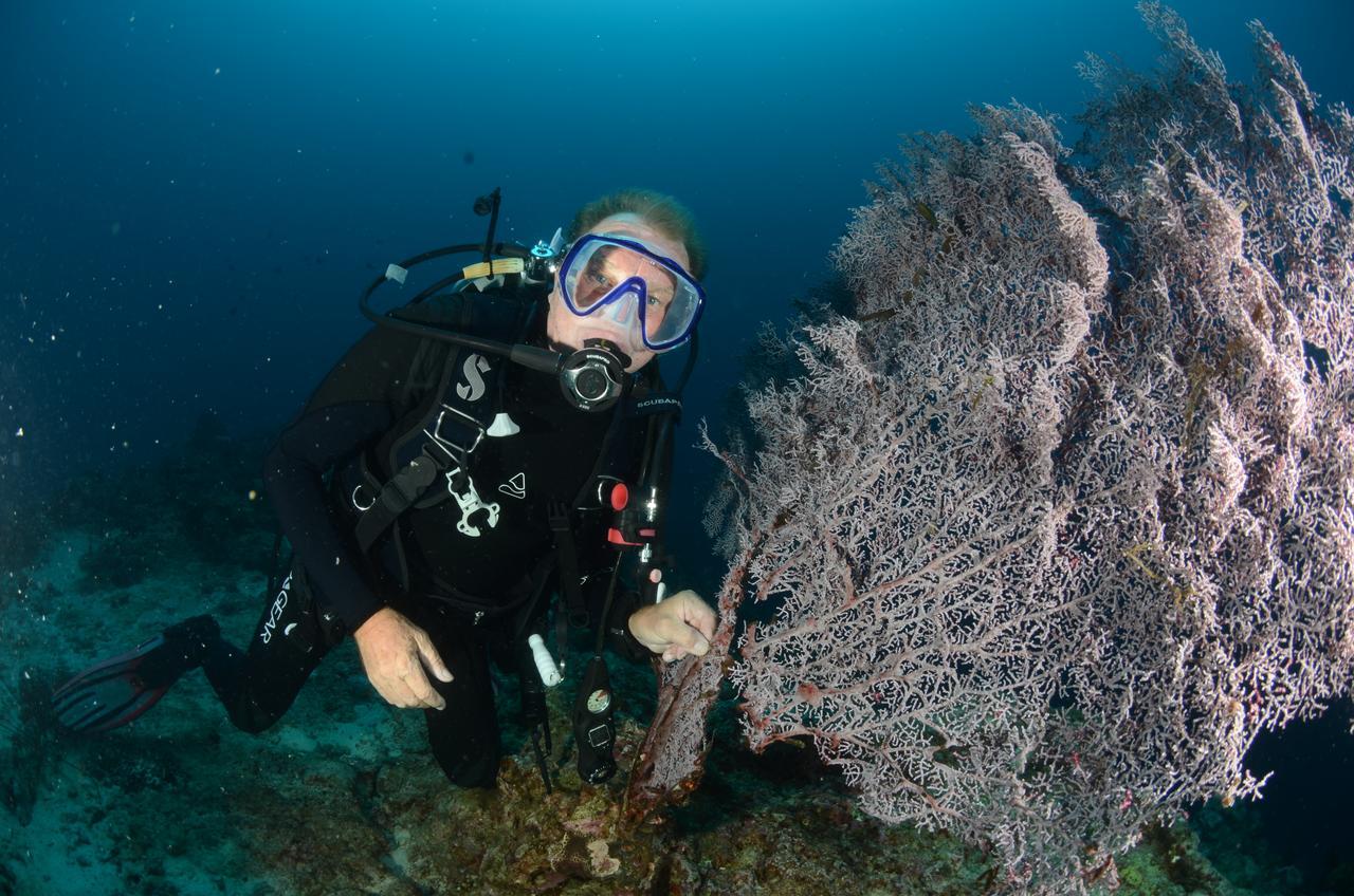 Cabilao Sunset Dive & Beach Resort Loon Exterior foto